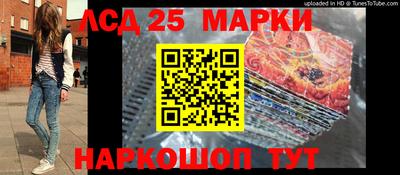 амф Новозыбков