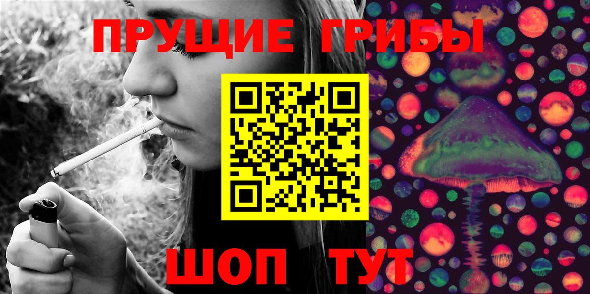 Тосно  Псилоцибиновые грибы MAGIC MUSHROOMS  Вход с VPN  Галлюциногенные грибы мицелий 